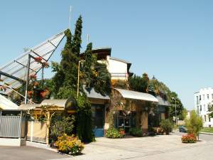 tree house